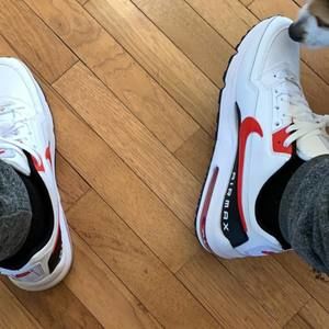 Meet your Posher, Marcelo